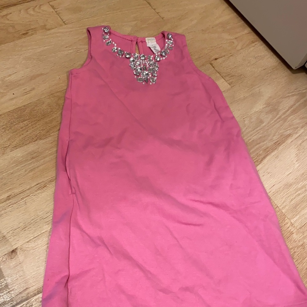 COPY - J Crew girls dress